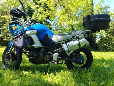 Yamaha XT1200Z Super T&eacute;n&eacute;r&eacute; First Edition (2010 - 11) usata