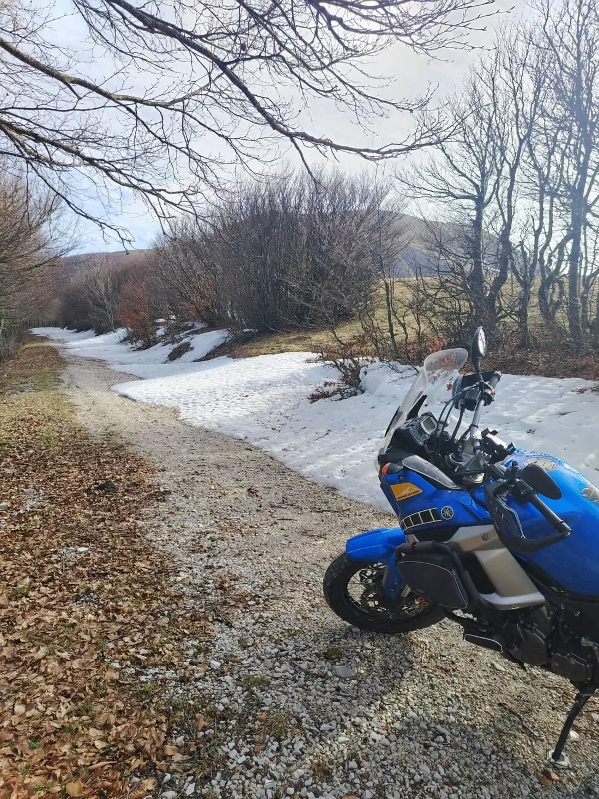 Yamaha XT1200Z Super Ténéré First Edition (2010 - 11) (9)