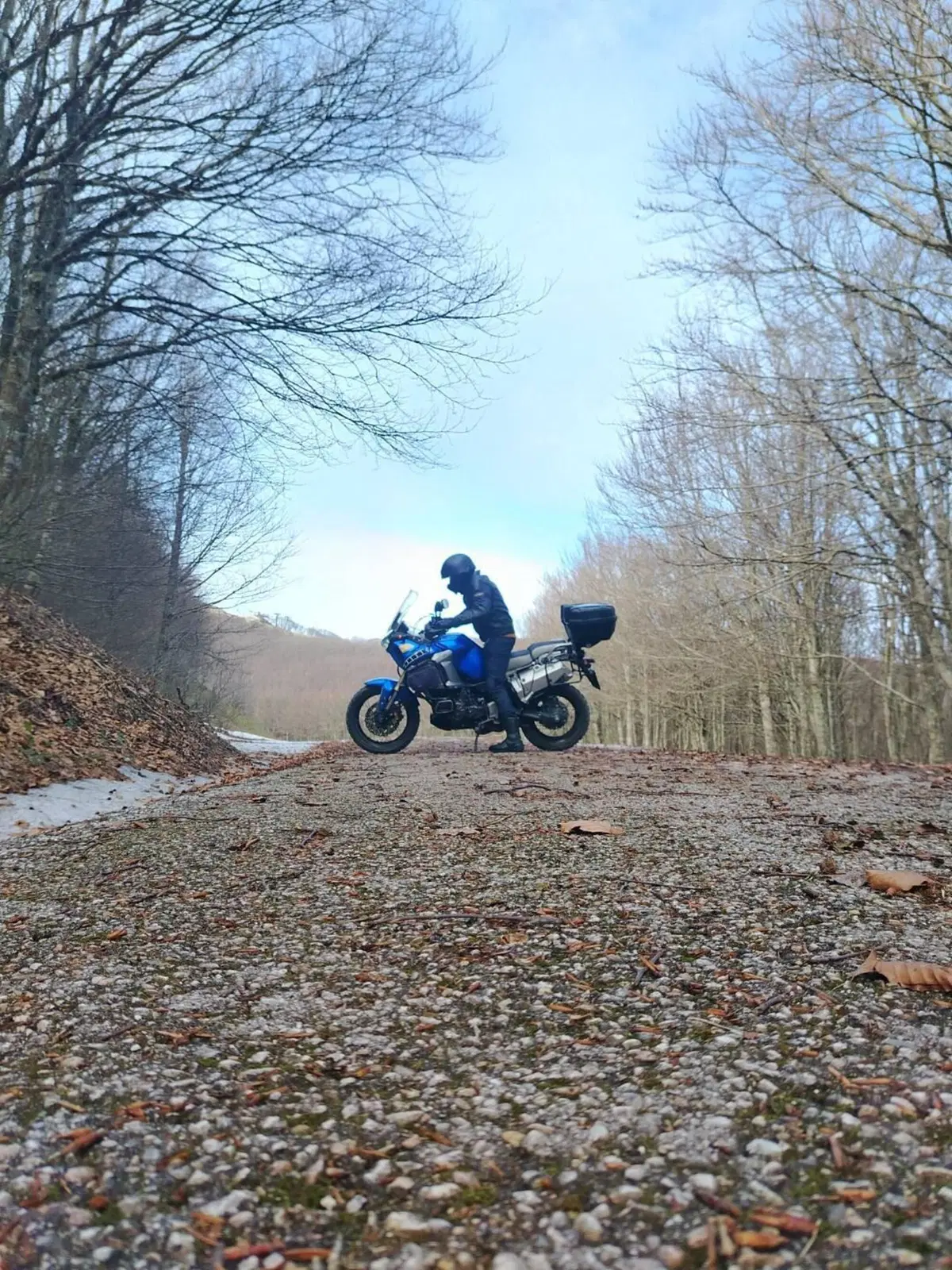 Yamaha XT1200Z Super Ténéré First Edition (2010 - 11) (11)