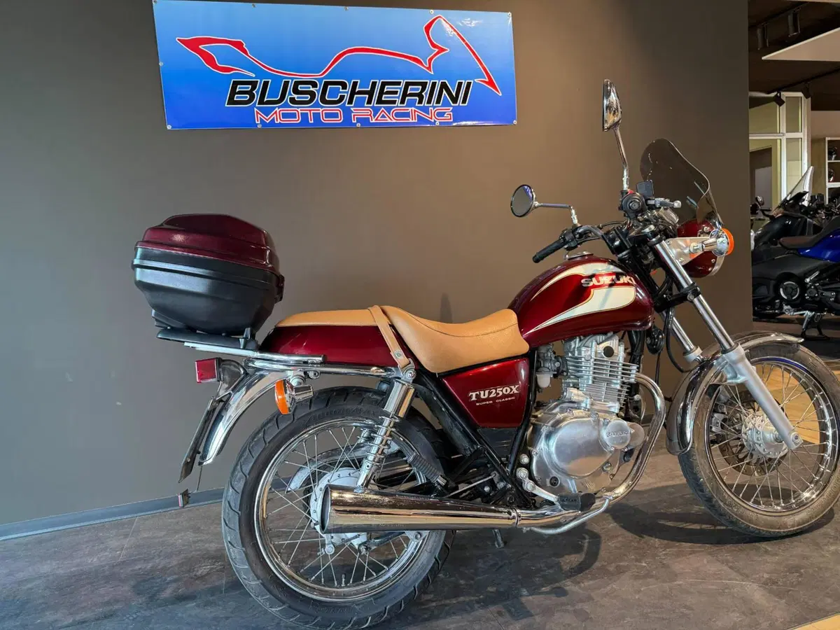 Suzuki TU 250 XX Super Classic (1996 - 00) (9)
