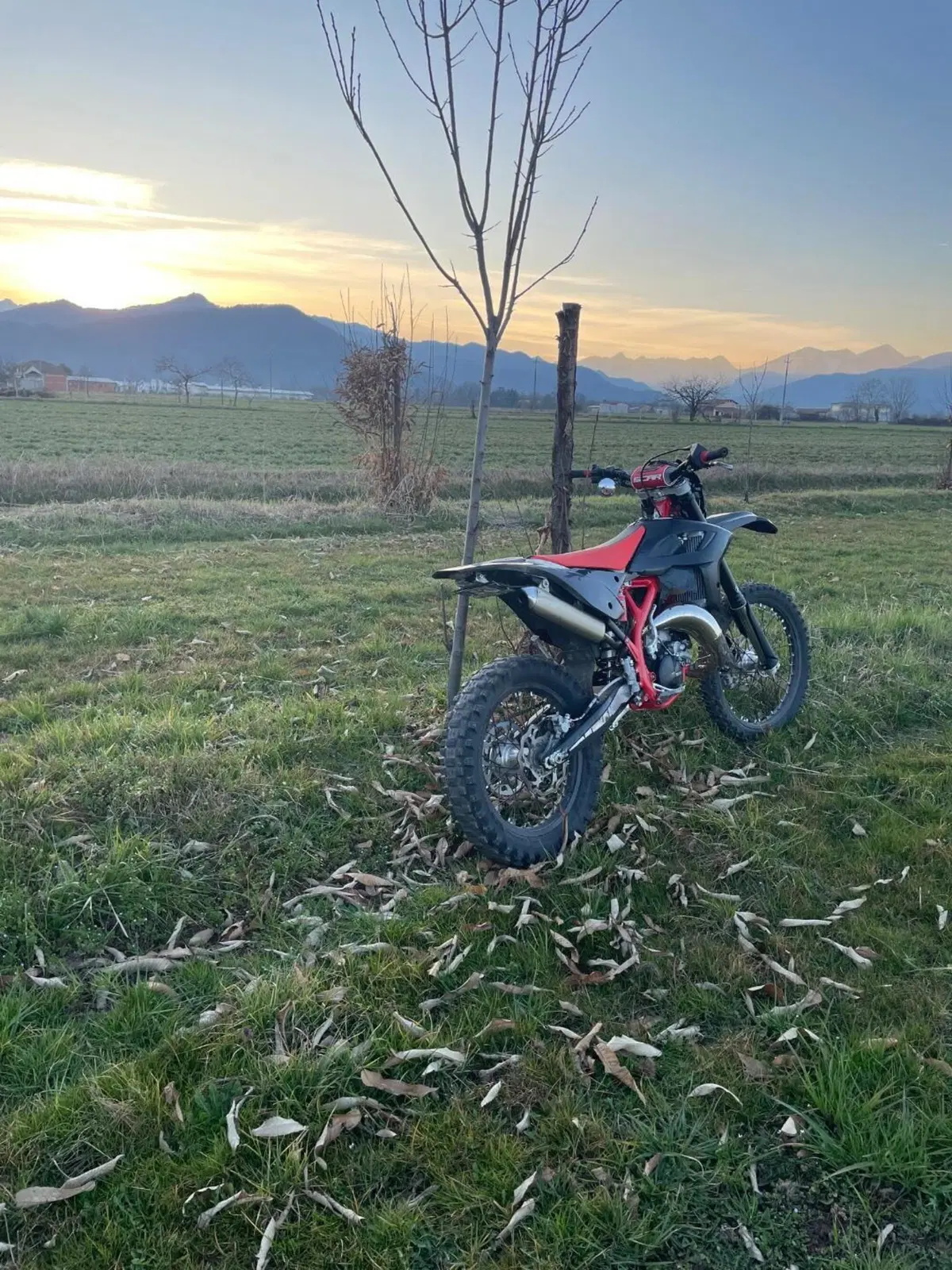 Betamotor RR 125 2T Enduro (2019) (6)