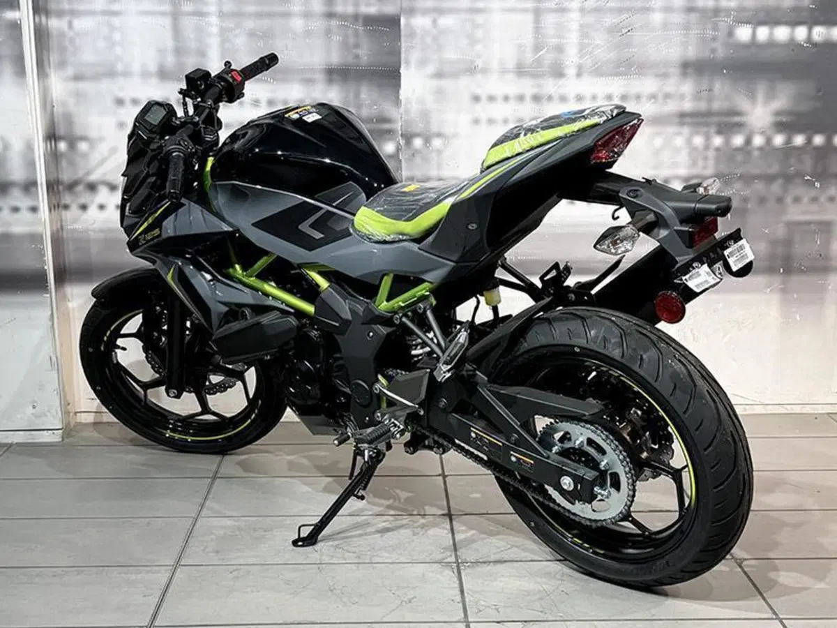 Kawasaki Z 125 (2025 - 26) (2)