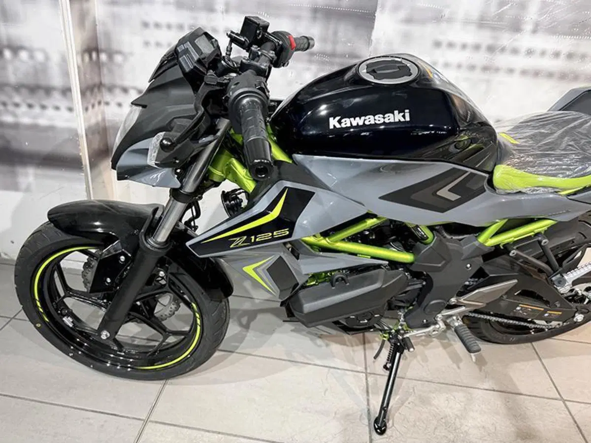 Kawasaki Z 125 (2025 - 26) (3)