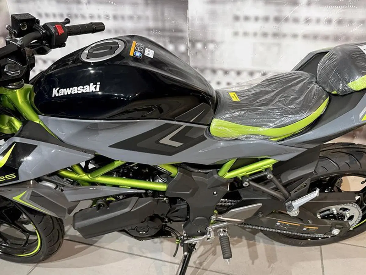 Kawasaki Z 125 (2025 - 26) (4)