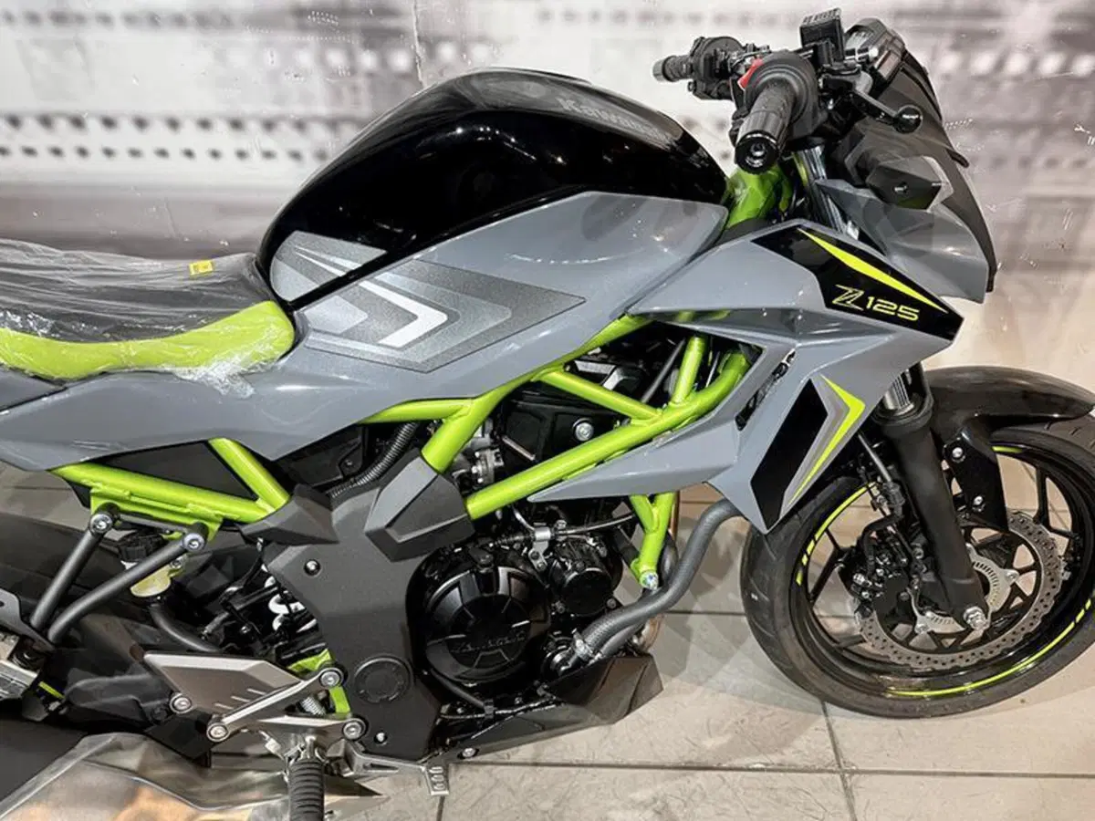Kawasaki Z 125 (2025 - 26) (6)