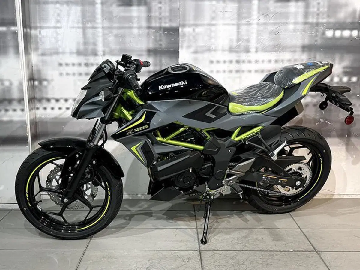 Kawasaki Z 125 (2025 - 26) (7)