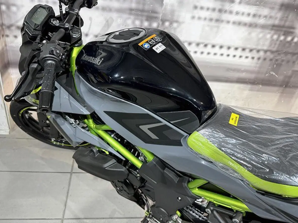 Kawasaki Z 125 (2025 - 26) (9)