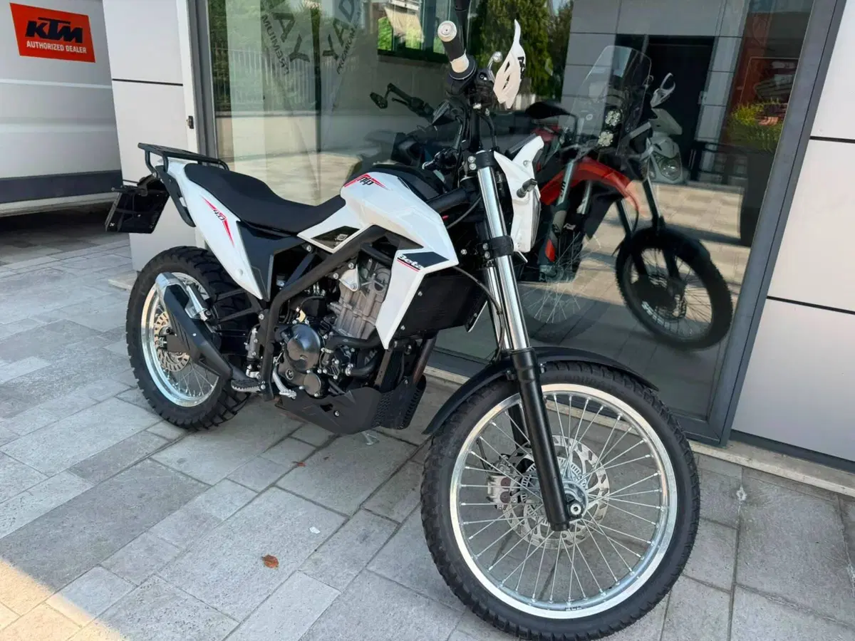 Betamotor Alp 4.0 (2024 - 26) (2)