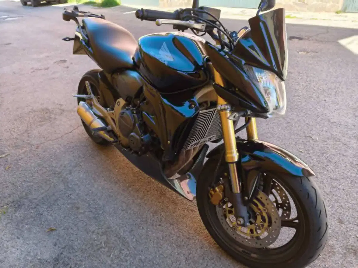Honda Hornet 600 (2007 - 10)