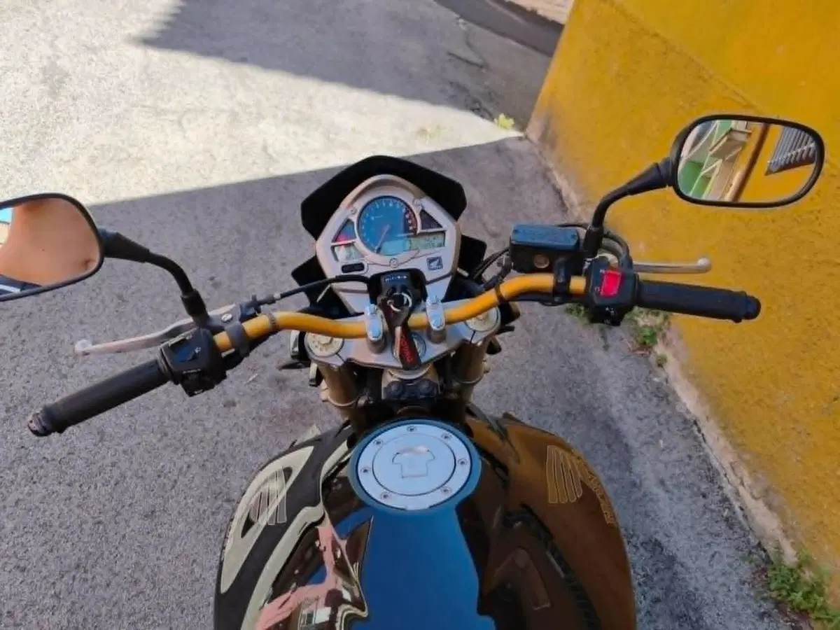 Honda Hornet 600 (2007 - 10) (3)