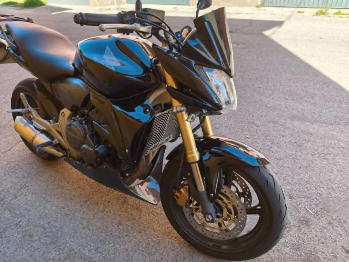 Honda Hornet 600 (2007 - 10) (12)