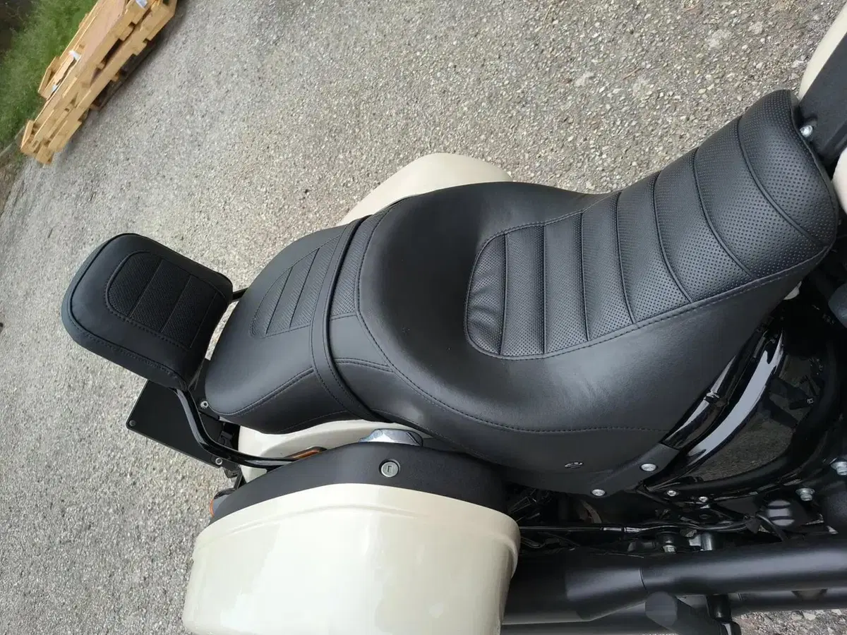 Harley-Davidson Low Rider ST (2022 - 24) (4)