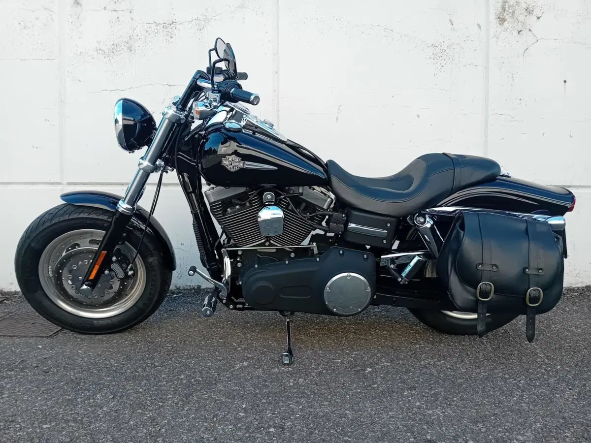 Harley-Davidson 1584 Fat Bob (2007 - 13) - FXDF (2)