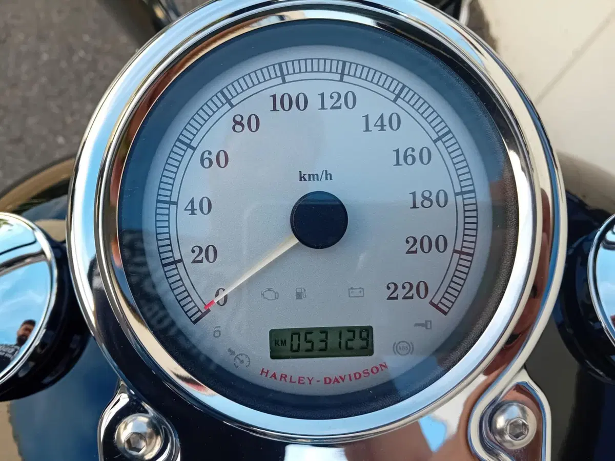 Harley-Davidson 1584 Fat Bob (2007 - 13) - FXDF (5)