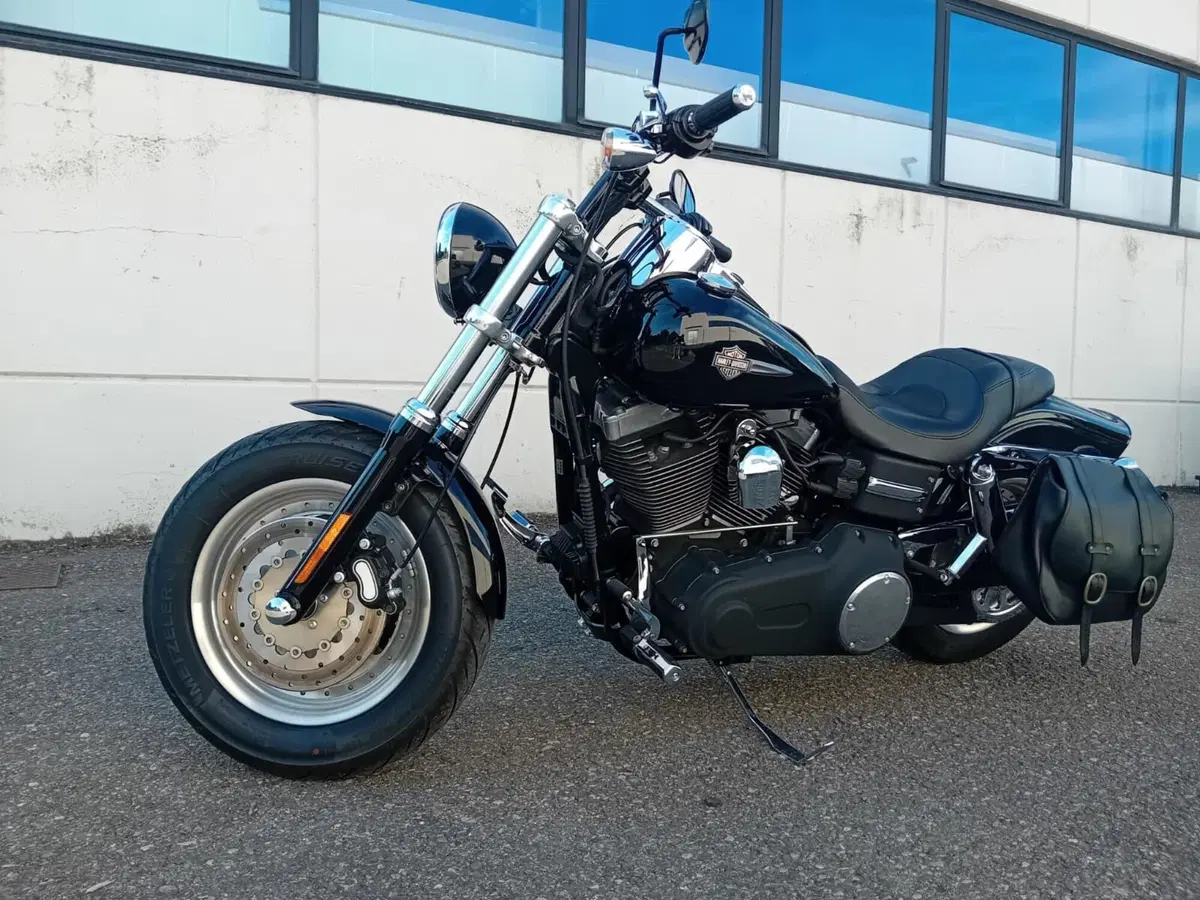 Harley-Davidson 1584 Fat Bob (2007 - 13) - FXDF (4)