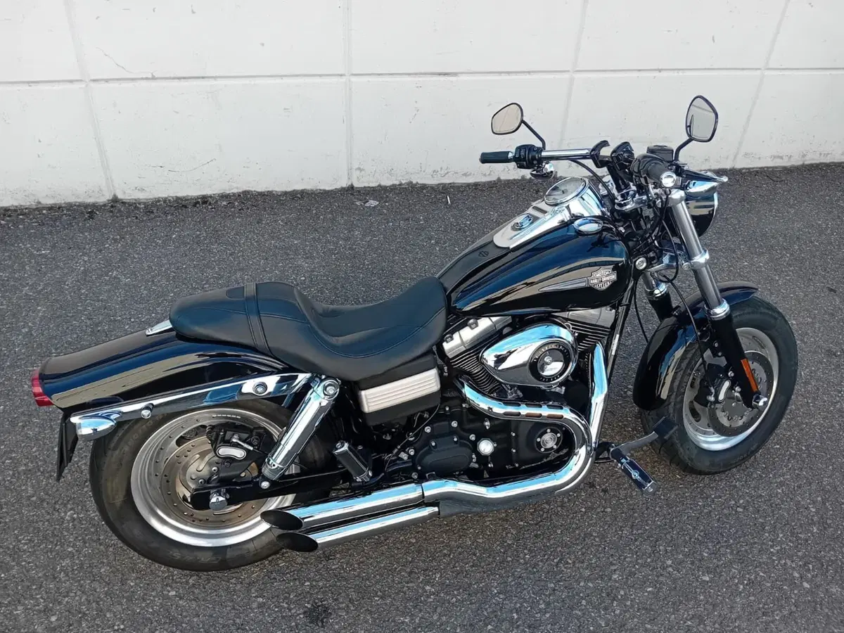Harley-Davidson 1584 Fat Bob (2007 - 13) - FXDF (3)