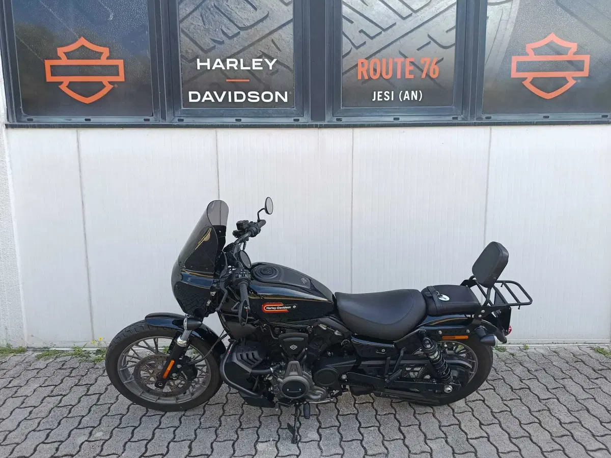 Harley-Davidson Nightster Special (2023 - 26) (3)