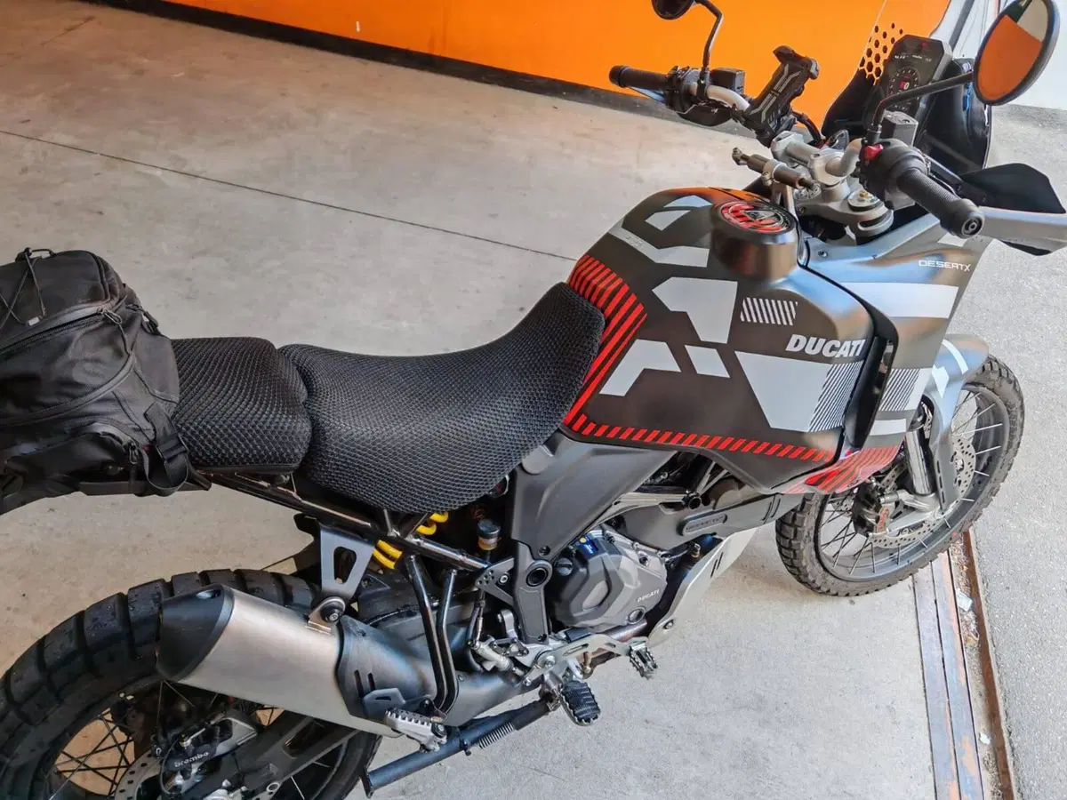 Ducati DesertX (2022 - 25) (7)