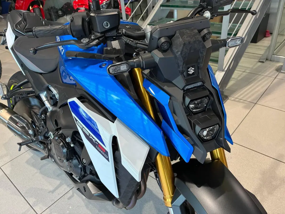 Suzuki GSX-S1000 EVO (2025 - 26) (3)