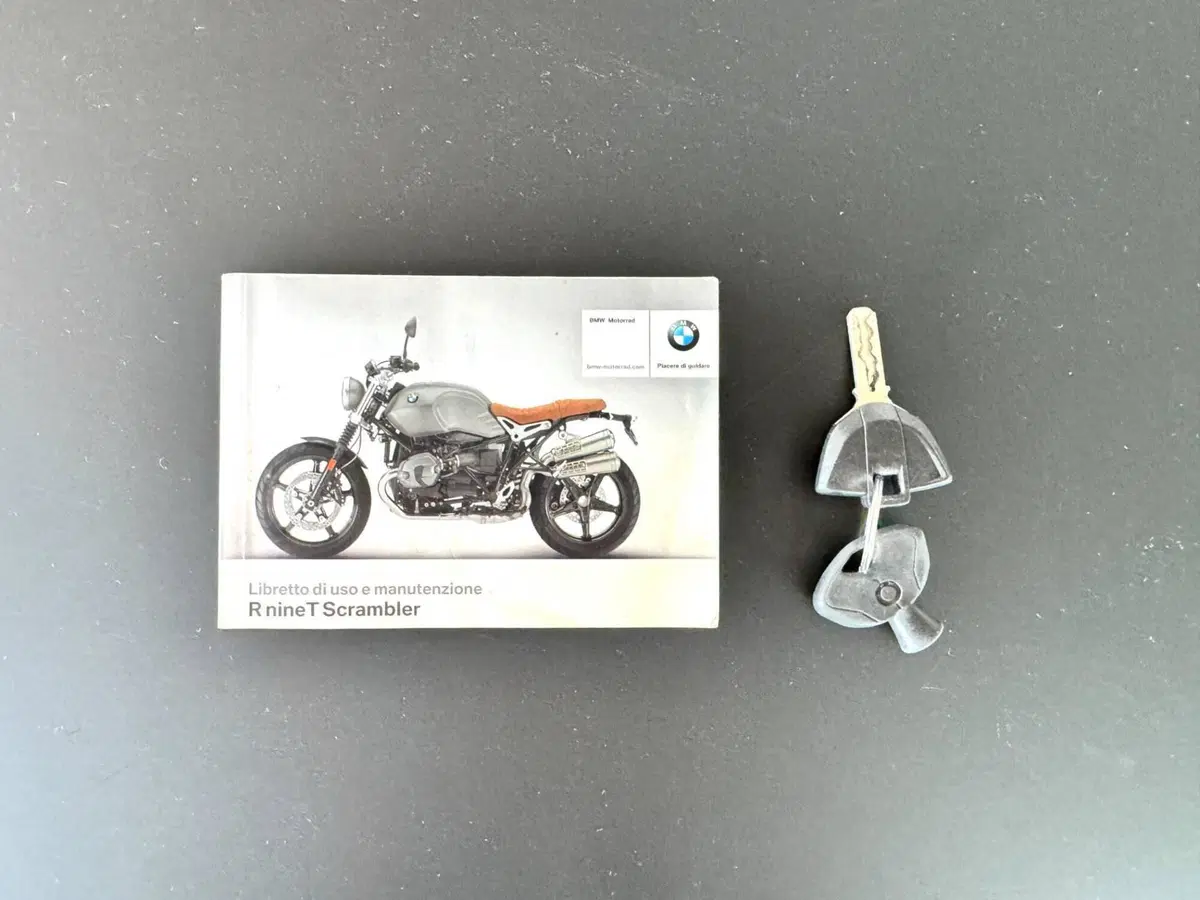 Bmw R nineT 1200 Scrambler (2016 - 20) (19)