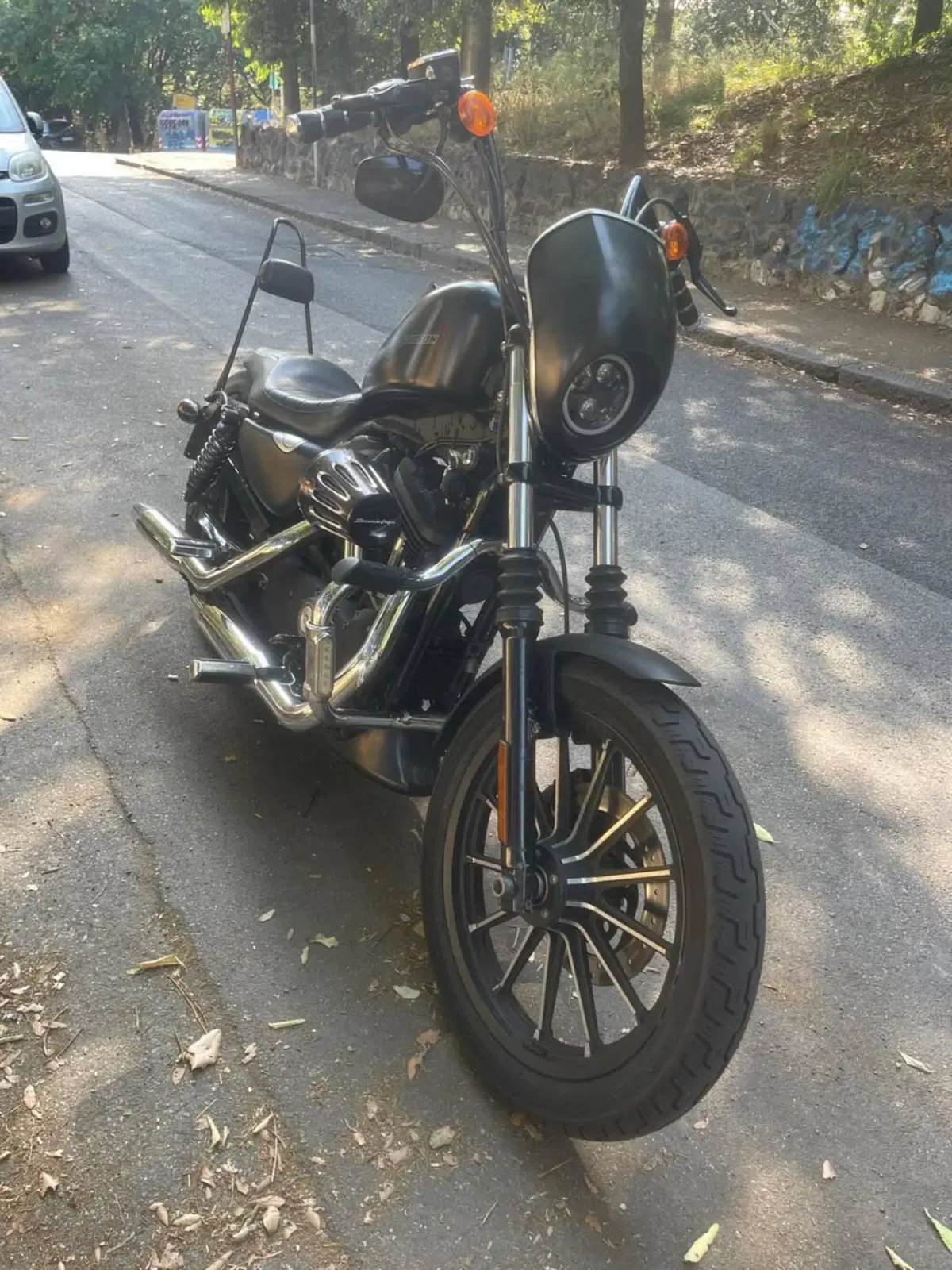 Harley-Davidson 883 Iron (2009 - 11) - XL 883N (2)