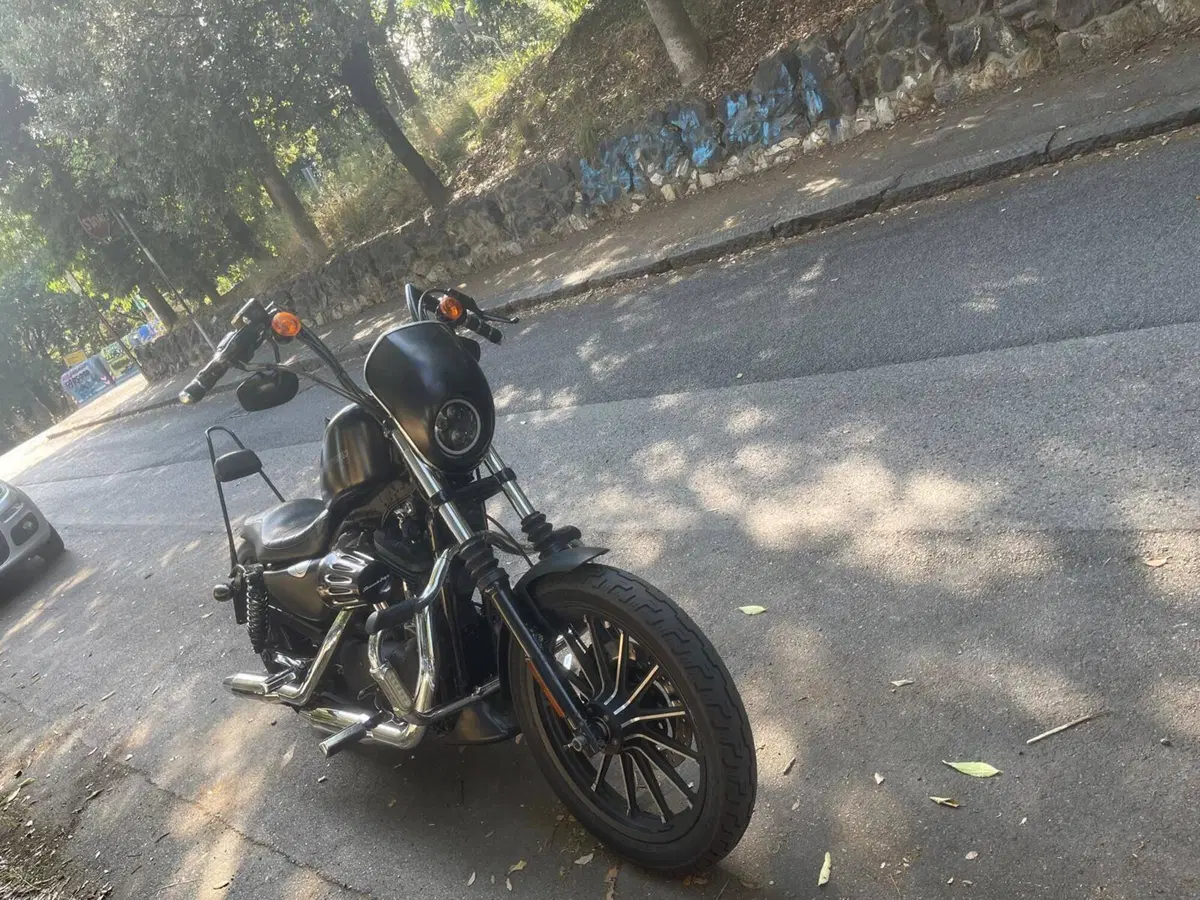 Harley-Davidson 883 Iron (2009 - 11) - XL 883N (3)