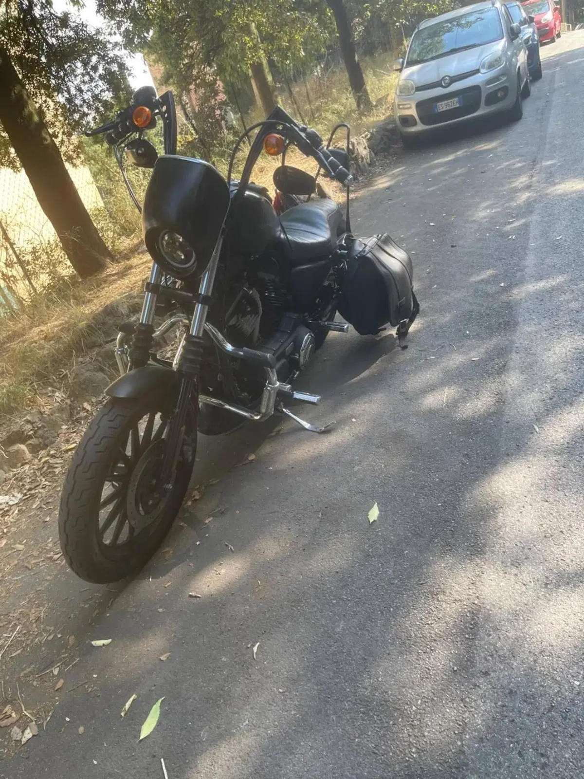 Harley-Davidson 883 Iron (2009 - 11) - XL 883N (4)