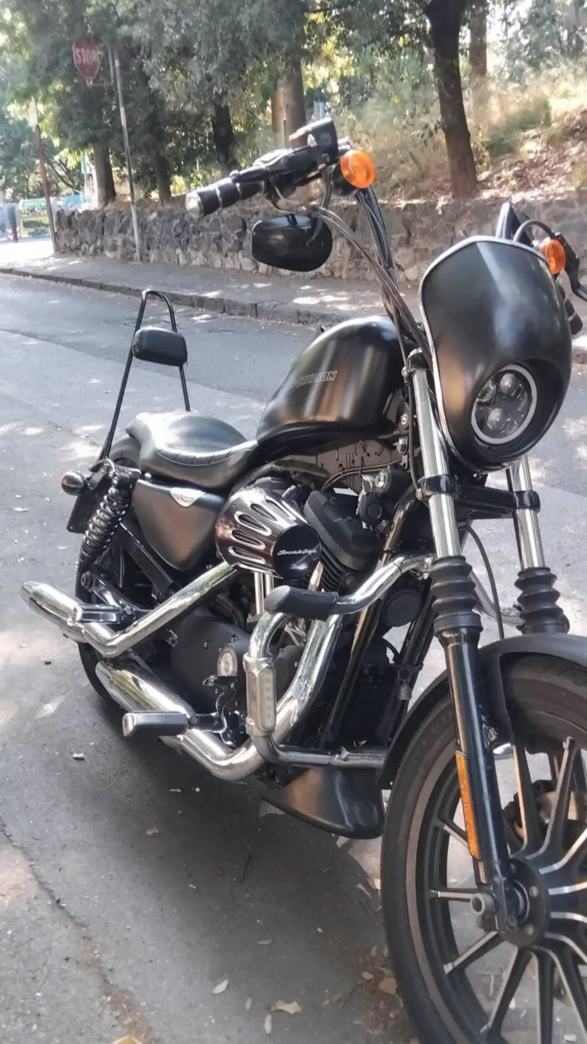 Harley-Davidson 883 Iron (2009 - 11) - XL 883N (6)