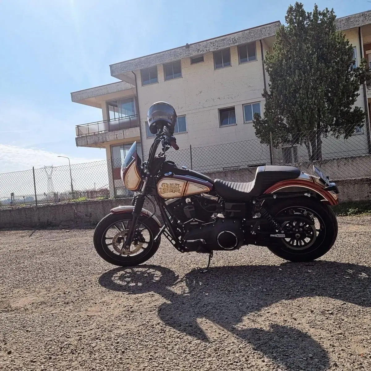 Harley-Davidson 1584 Street Bob (2008 - 15) - FXDB (2)