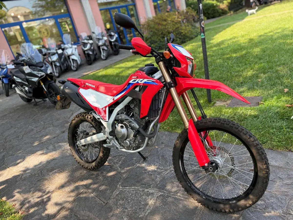Honda CRF 300L (2021 - 24) (2)