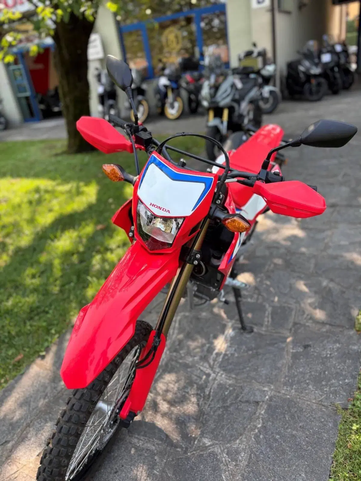 Honda CRF 300L (2021 - 24) (3)