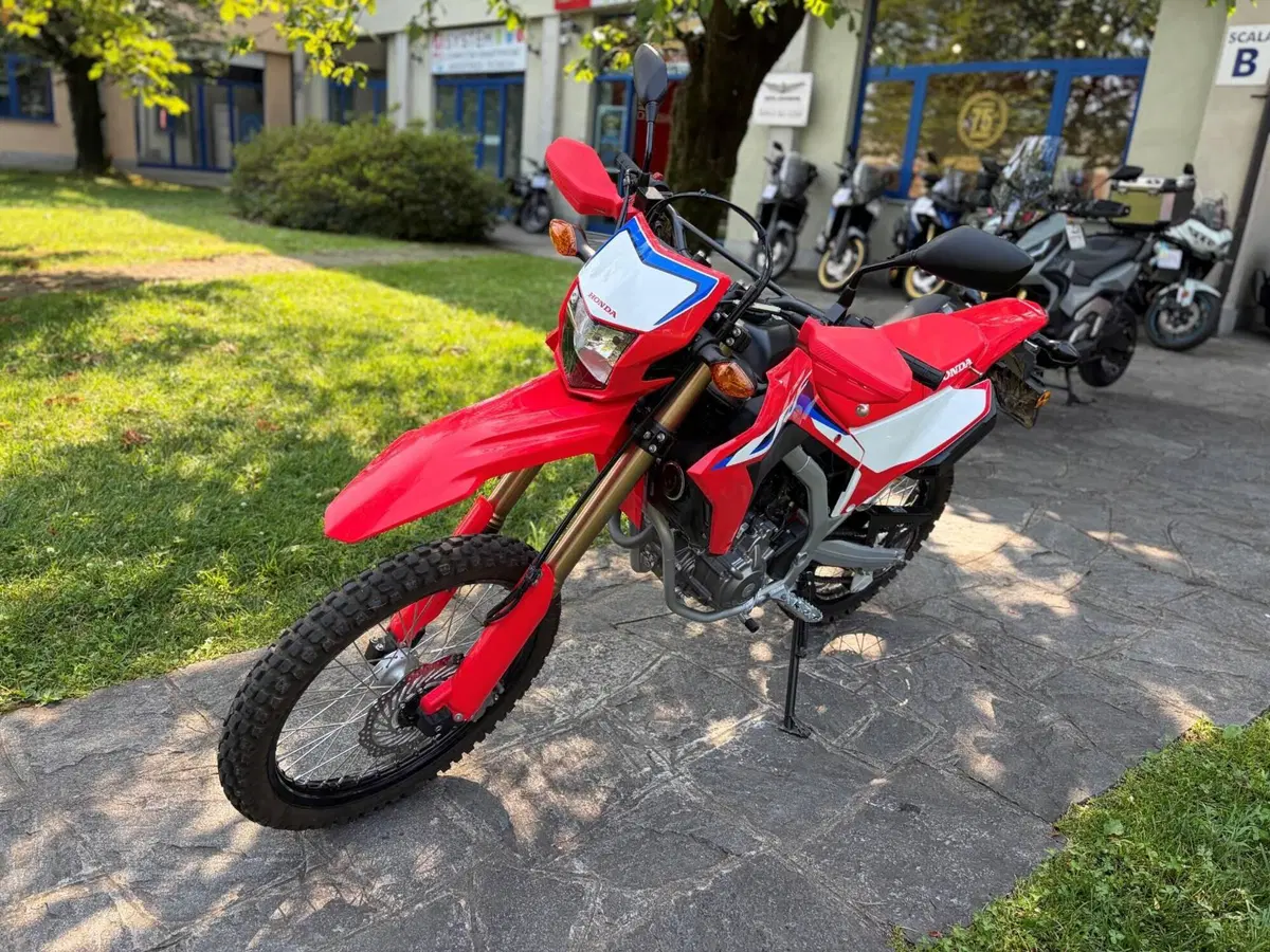 Honda CRF 300L (2021 - 24) (4)