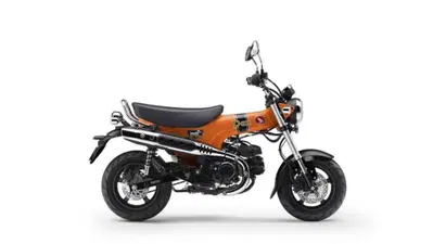 Honda Dax 125 (2025 - 26) nuova
