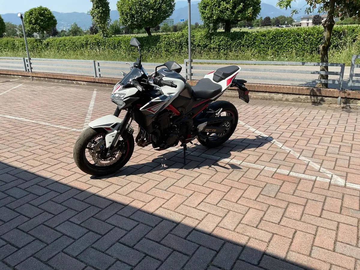 Kawasaki Z 900 (2021 - 24) (2)