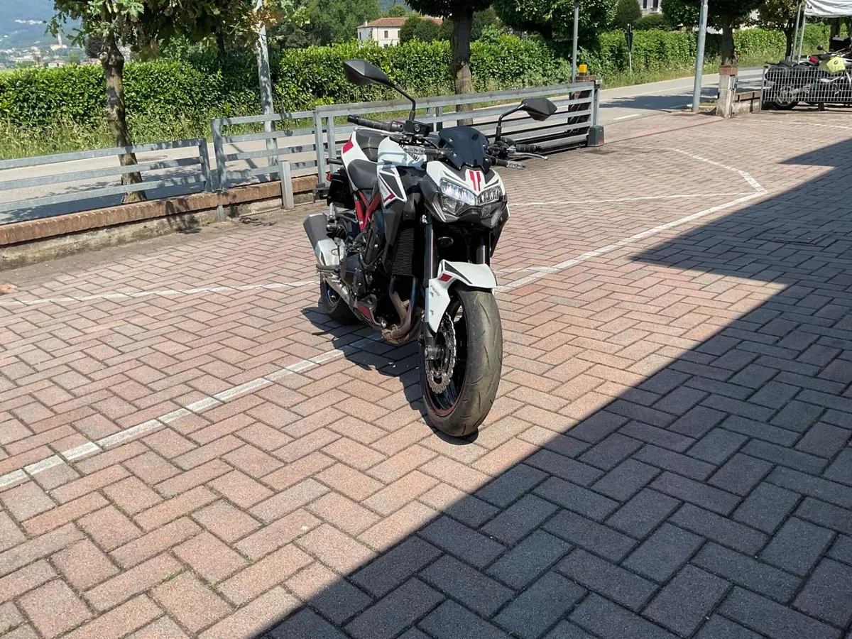 Kawasaki Z 900 (2021 - 24) (6)