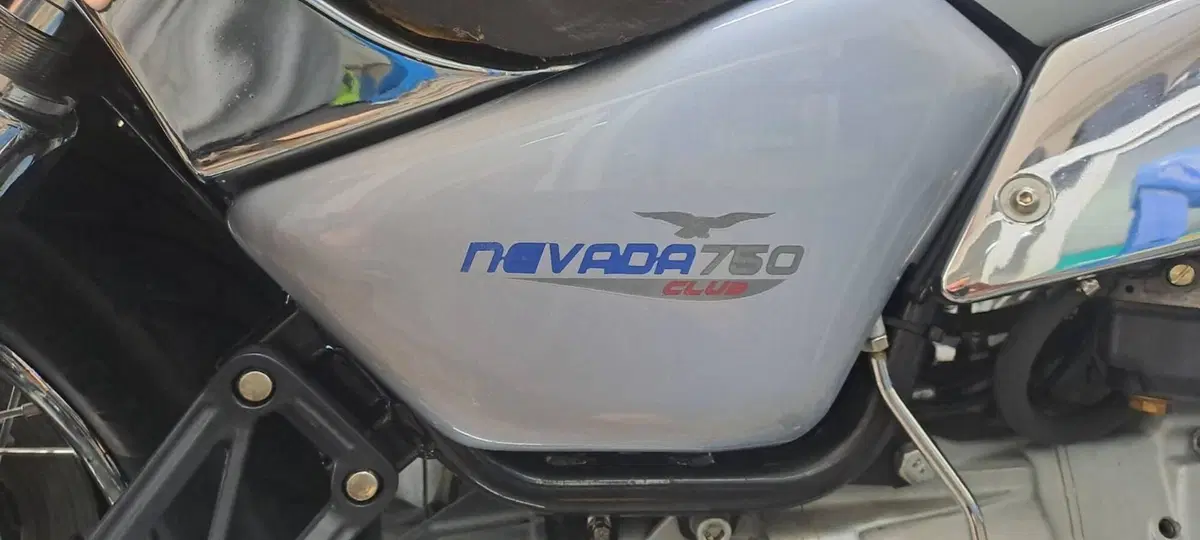 Moto Guzzi Nevada 750 Club (2002 - 06) (7)