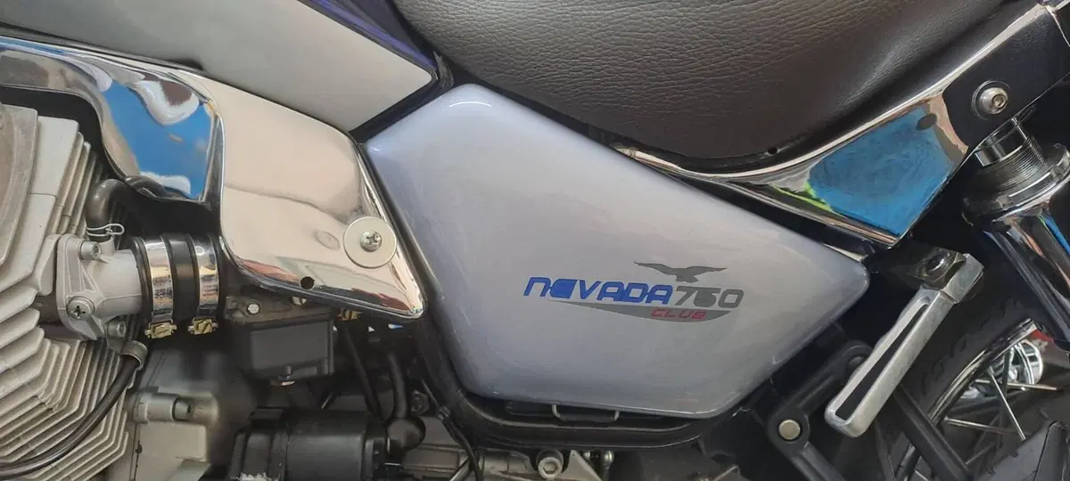 Moto Guzzi Nevada 750 Club (2002 - 06) (8)