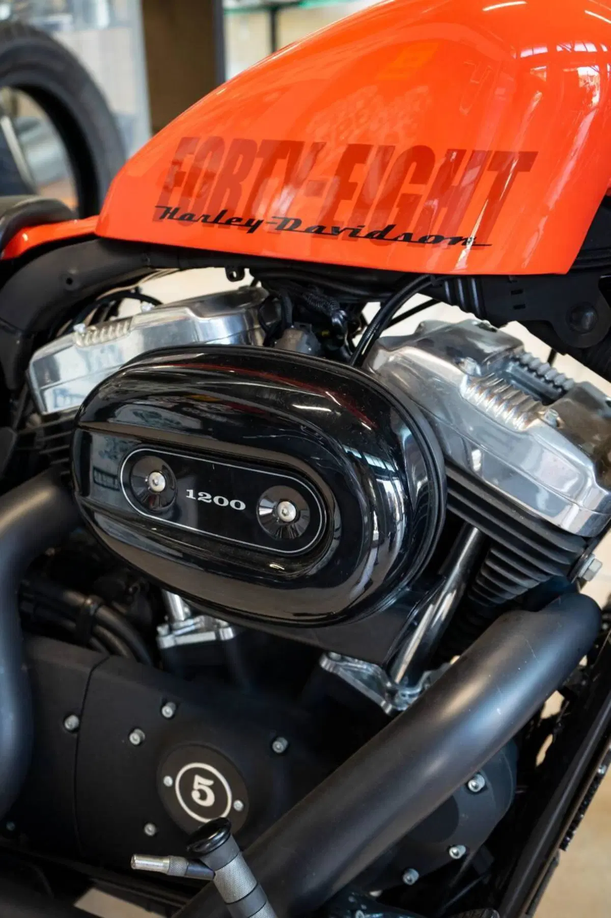 Harley-Davidson 1200 Forty-Eight (2010 - 15) (3)