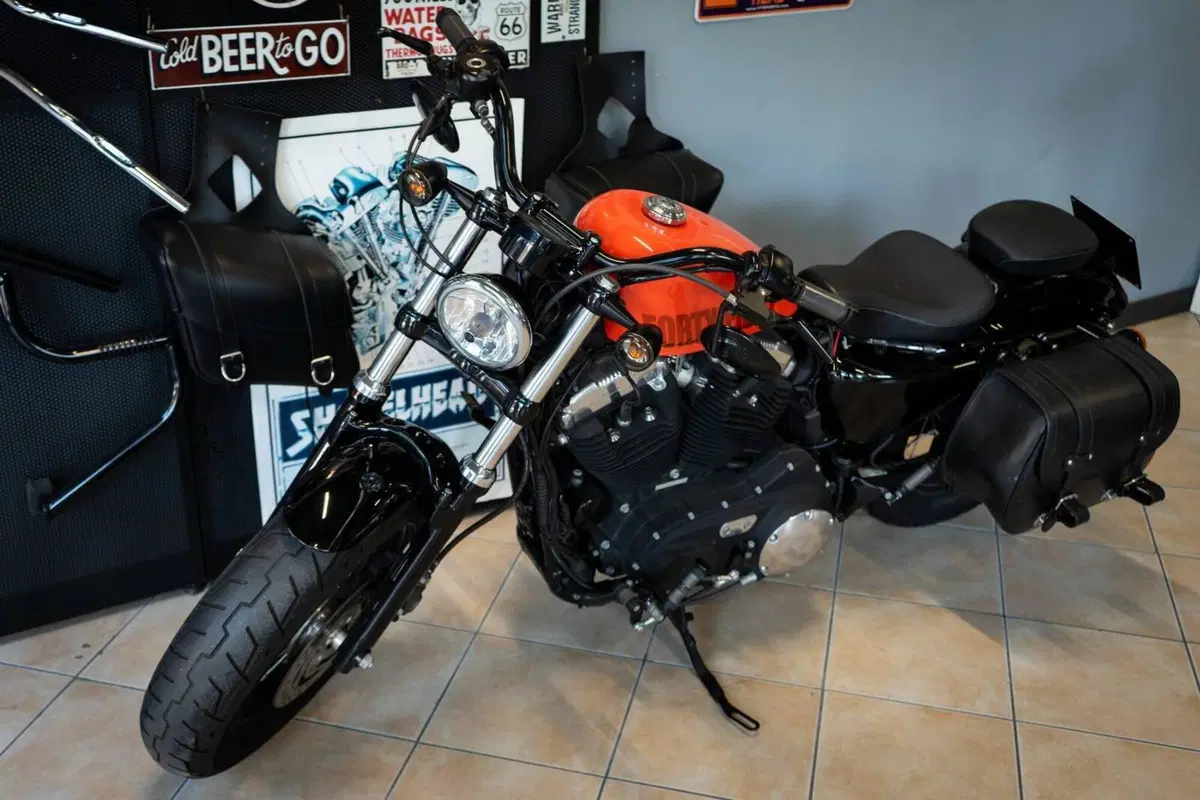 Harley-Davidson 1200 Forty-Eight (2010 - 15) (4)