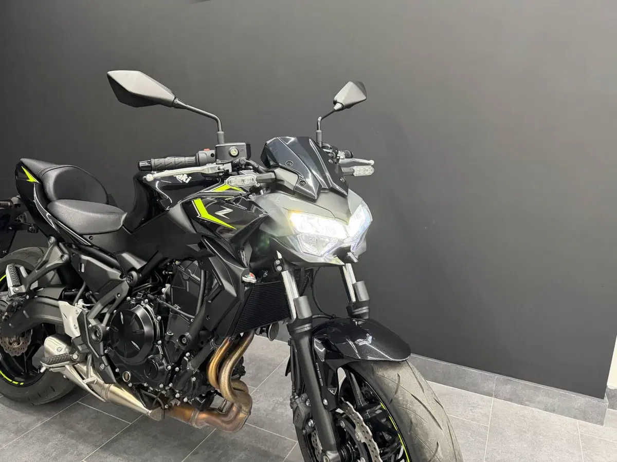 Kawasaki Z 650 (2021 - 24) (2)