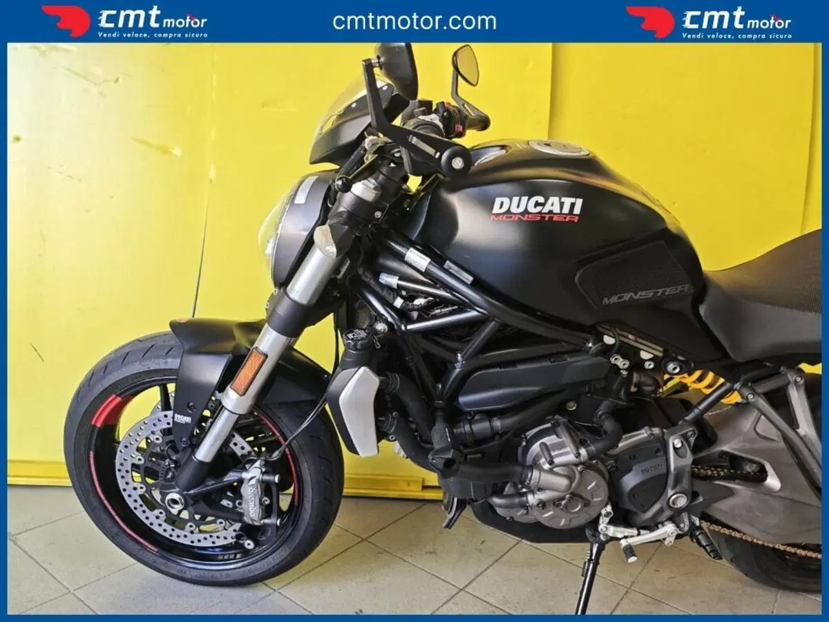 Ducati Monster 821 (2018 - 20) (6)