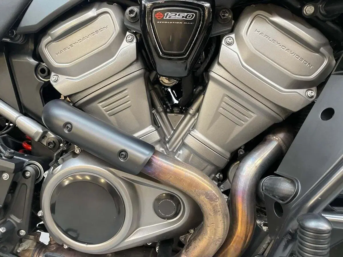Harley-Davidson Pan America 1250 (2020 - 25) (9)