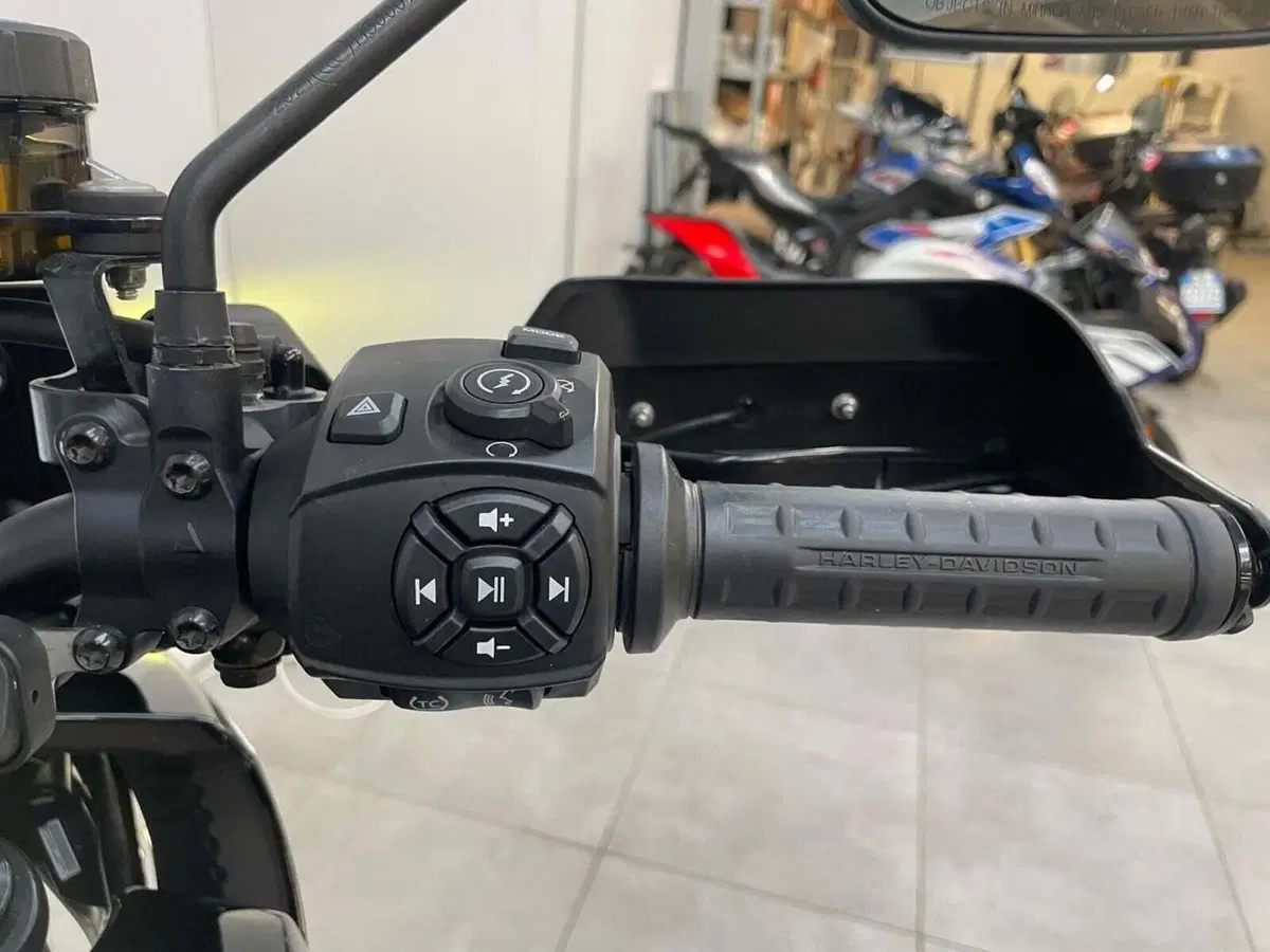 Harley-Davidson Pan America 1250 (2020 - 25) (11)