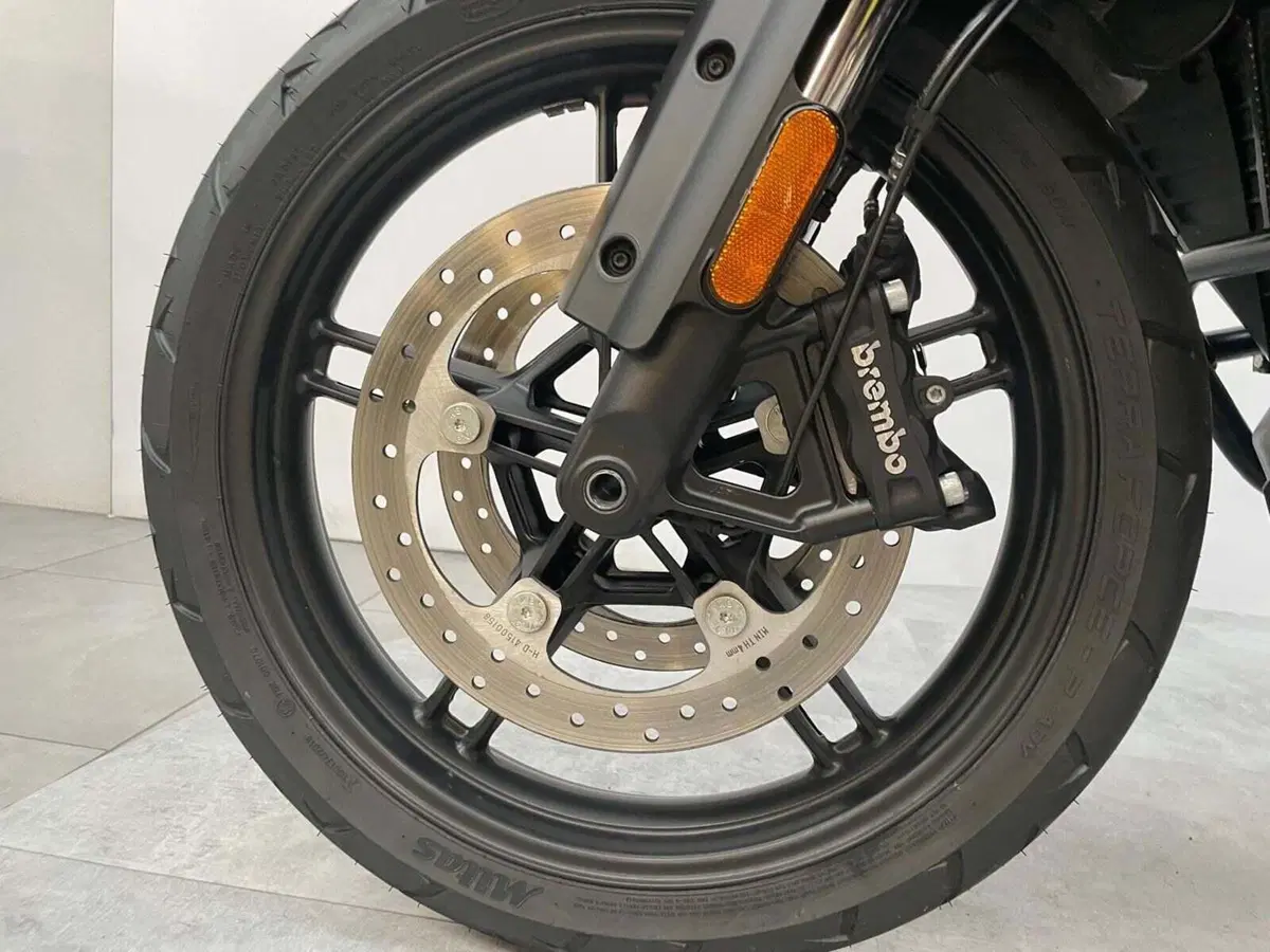 Harley-Davidson Pan America 1250 (2020 - 25) (17)