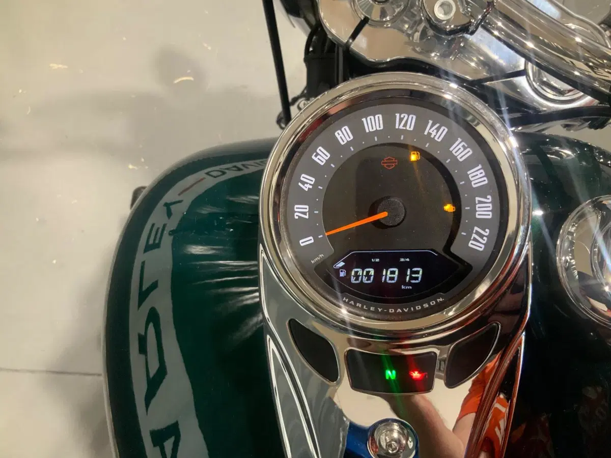 Harley-Davidson Heritage Classic (2021 - 24) (3)