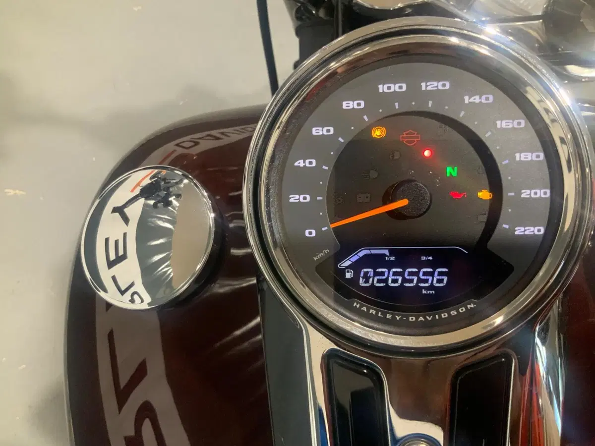 Harley-Davidson 107 Sport Glide (2018 - 20) (2)