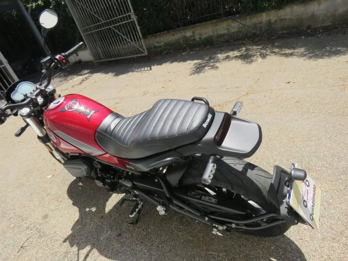 Benelli Leoncino 500 (2021 - 25) (4)