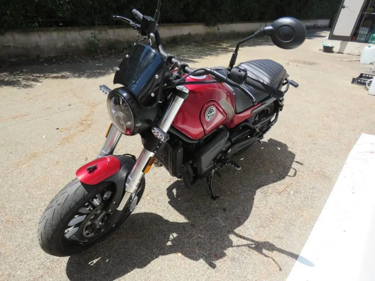 Benelli Leoncino 500 (2021 - 25) (5)