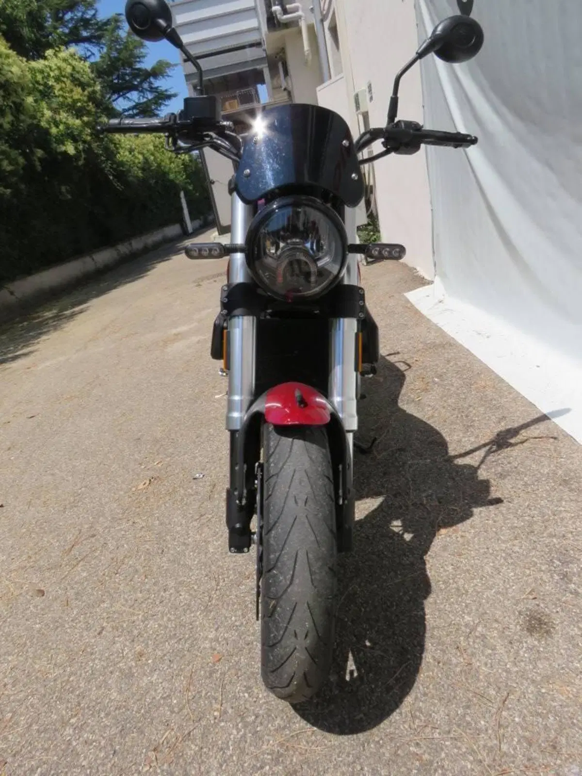 Benelli Leoncino 500 (2021 - 25) (6)