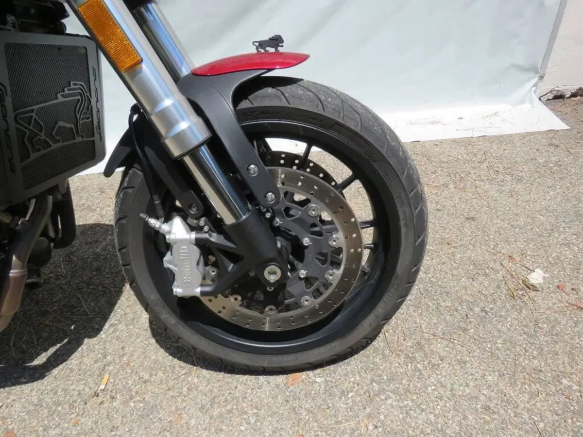 Benelli Leoncino 500 (2021 - 25) (7)